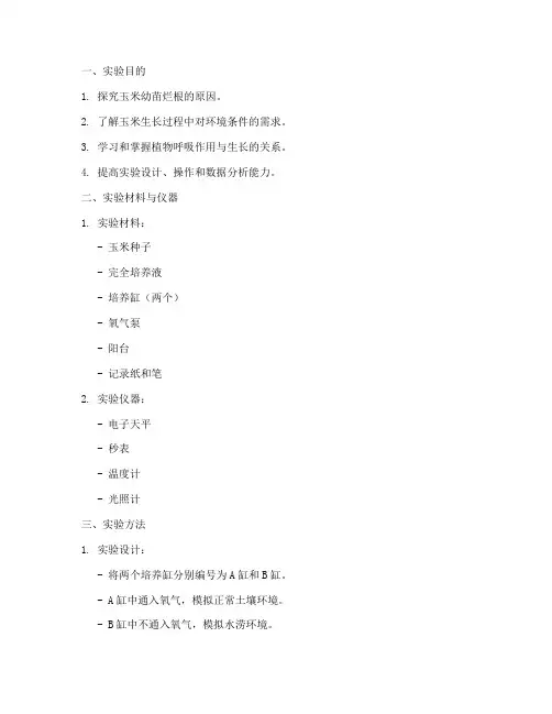 玉米综合实验报告