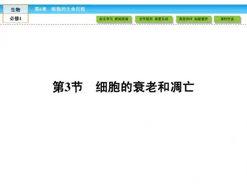 【高效导学】2015版高中生物(RJ)必修1课件：6.3细胞的衰老和凋亡