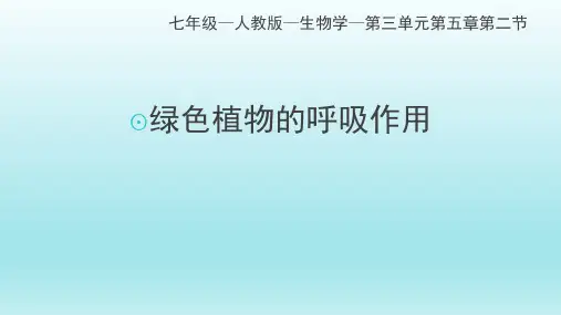 人教版七年级上册生物绿色植物的呼吸作用  课件