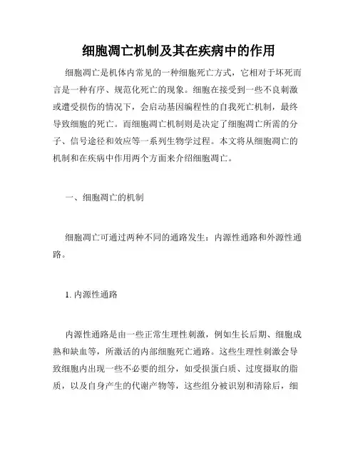 细胞凋亡机制及其在疾病中的作用