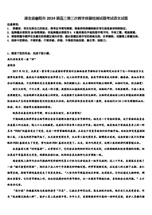 湖北省襄阳市2024届高三第三次教学质量检测试题考试语文试题含解析