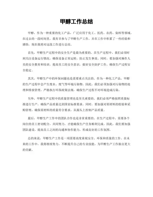 甲醇工作总结