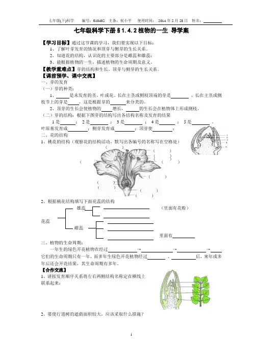 平哥新浙教版七年级科学下册§1.4.2植物的一生 导学案