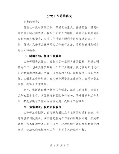 分管工作总结范文