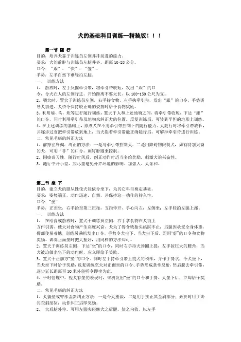 犬的基础科目训练