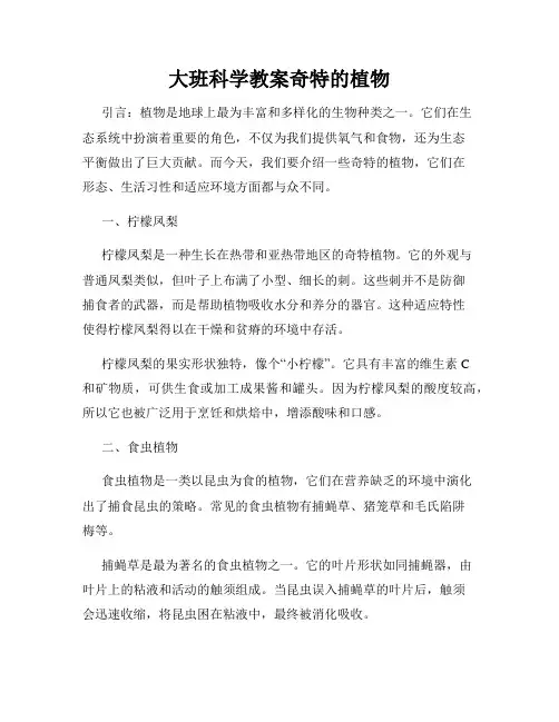 大班科学教案奇特的植物