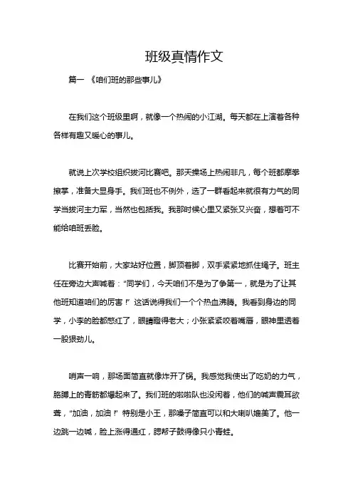 班级真情作文