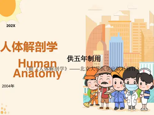 脑和脊髓的被膜、血管及脑脊液