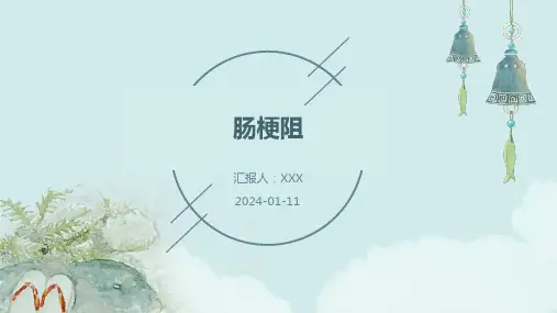 肠梗阻PPT演示课件