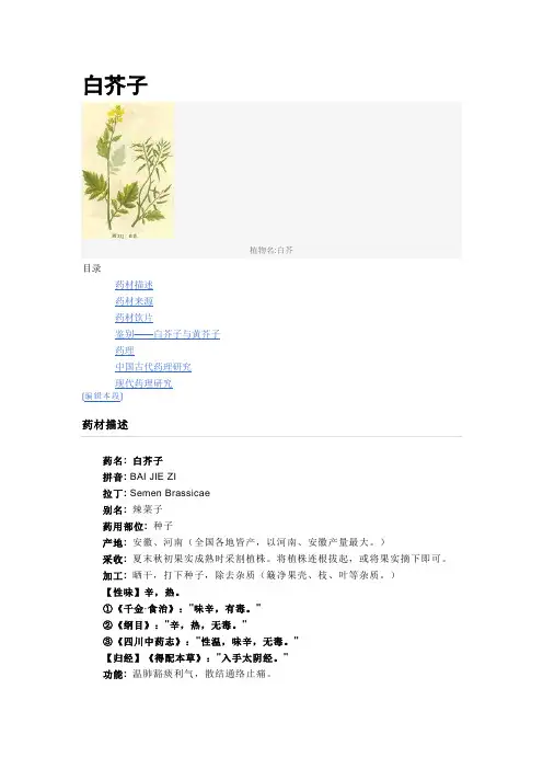白芥子