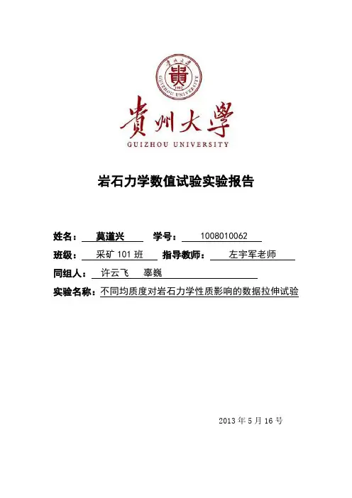 岩石力学数字实验报告