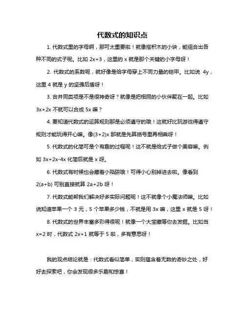 代数式的知识点
