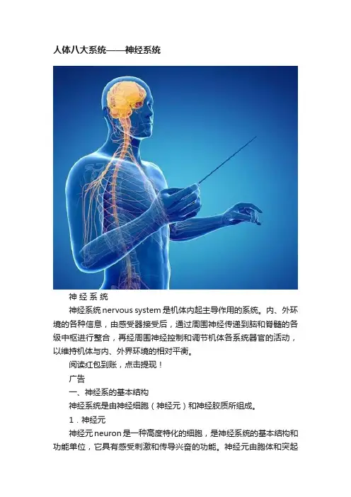 人体八大系统——神经系统