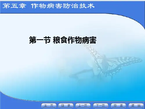 作物病虫害防治课件第五章(1-3)作物病虫防治