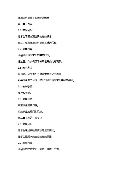 微观世界变化：实验探索教案