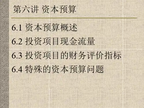 6资本预算