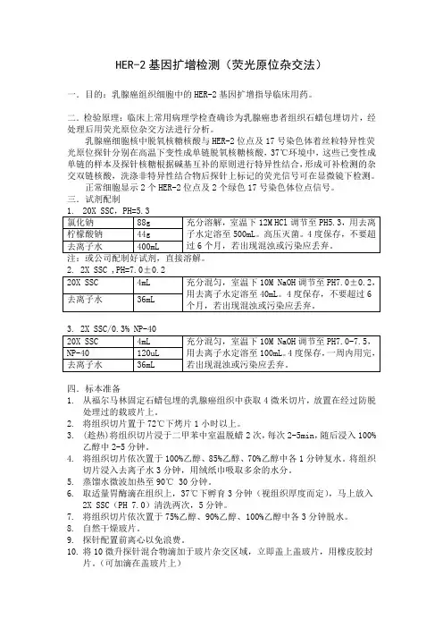 HER-2基因扩增检测(原位杂交法)