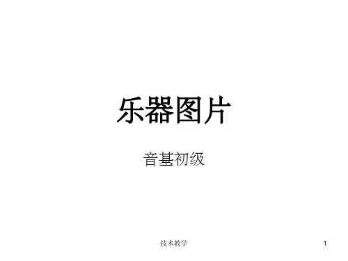 音基初级所有乐器图片(行业相关)