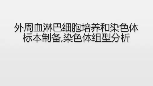 外周血淋巴细胞培养和染色体标本制备