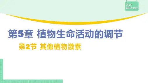 5.2 其他植物激素
