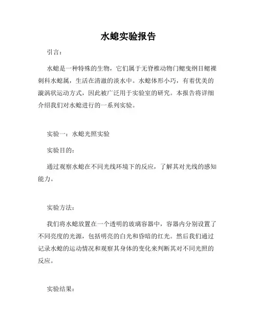 水螅实验报告
