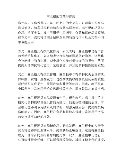 麻兰根的功效与作用