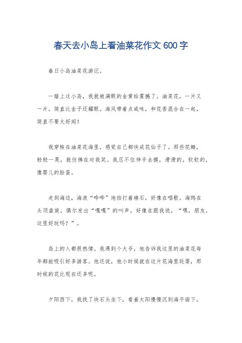 春天去小岛上看油菜花作文600字
