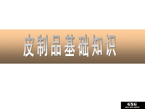 皮制品基础知识