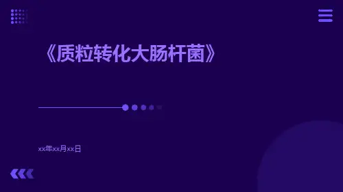 质粒转化大肠杆菌