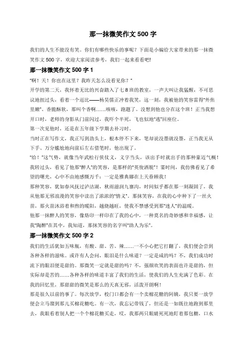那一抹微笑作文500字