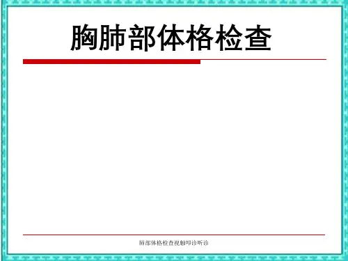 肺部体格检查视触叩诊听诊
