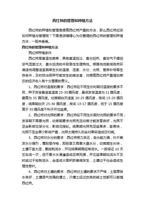 西红柿的管理和种植方法