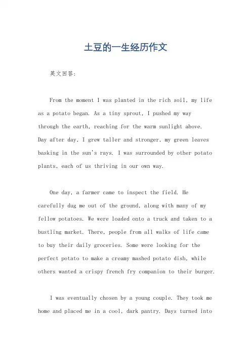 土豆的一生经历作文