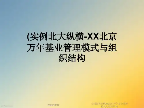 实例北大纵横XX北京万年基业管理模式与组织结构