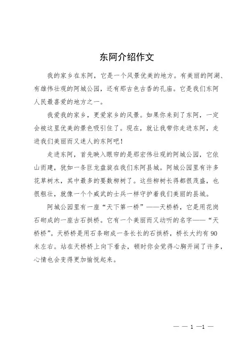 东阿介绍作文