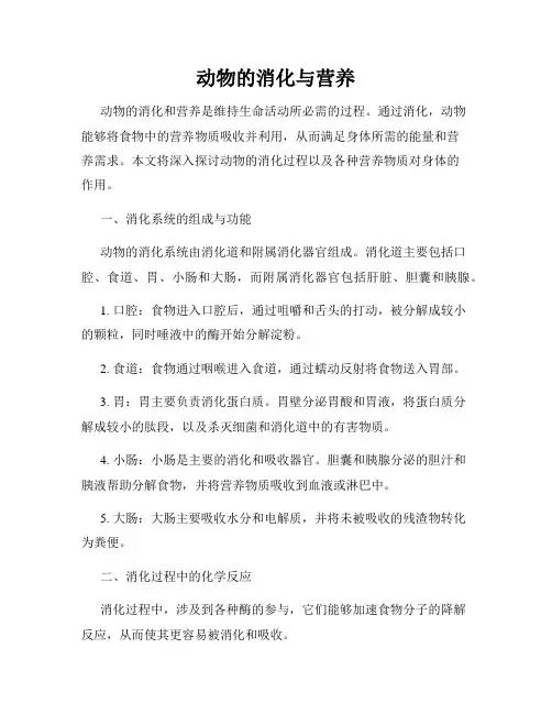 动物的消化与营养