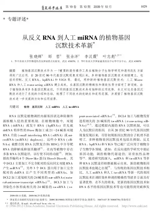 从反义RNA到人工miRNA的植物基因沉默技术革新_张晓辉