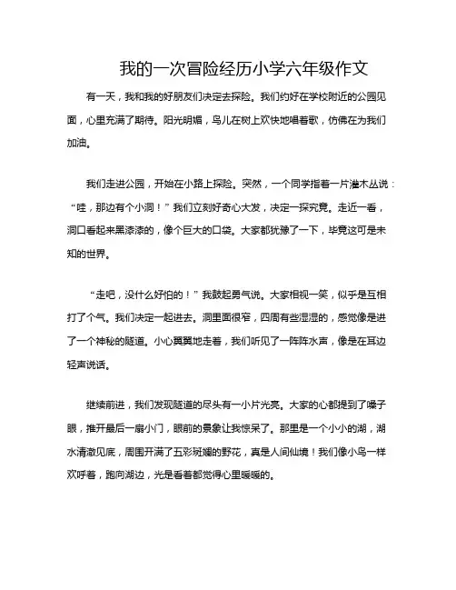 我的一次冒险经历小学六年级作文