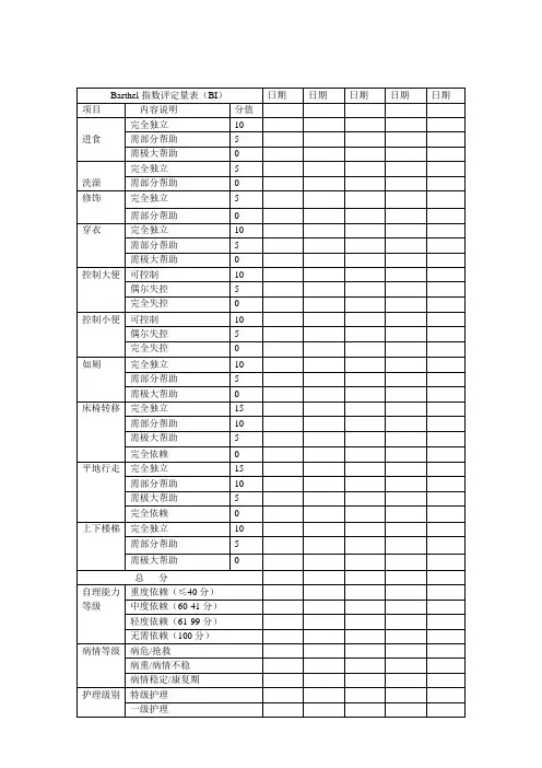 Barthel指数评定量表