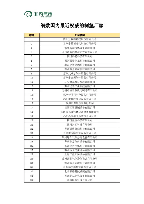 国内最权威的制氢厂家名单