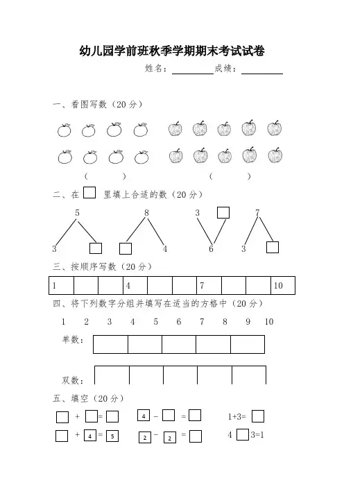 精品学前班期末考试数学试题23汇总共10张