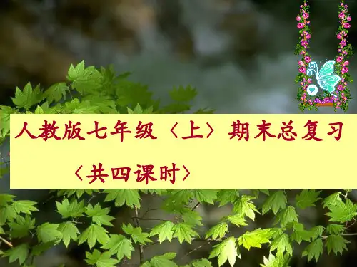 七年级生物上册总复习课件