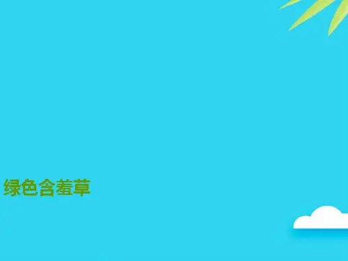 绿色含羞草优质PPT资料