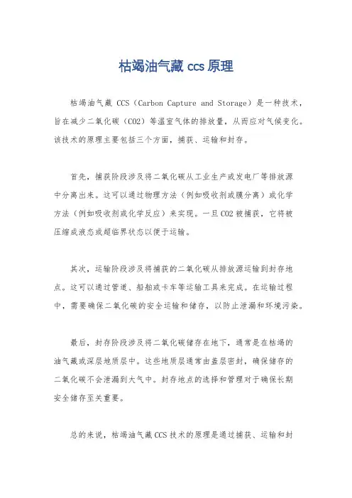 枯竭油气藏 ccs 原理