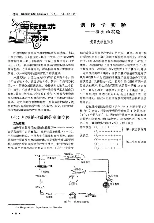 遗传学实验