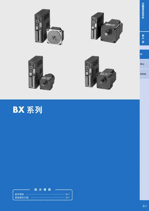 无刷直流电动机 BX 系列 说明书