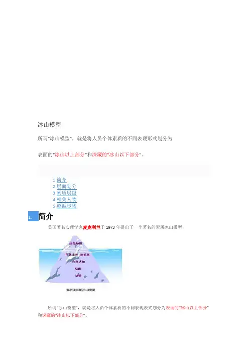 冰山素质模型