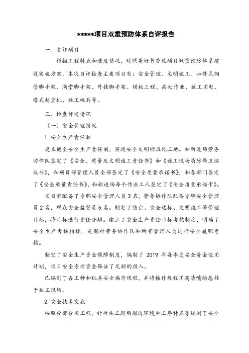 双重预防体系自评报告