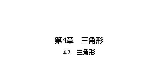 2024年福建省中考+专用数学一轮知识点梳理复习4.2 三角形课件