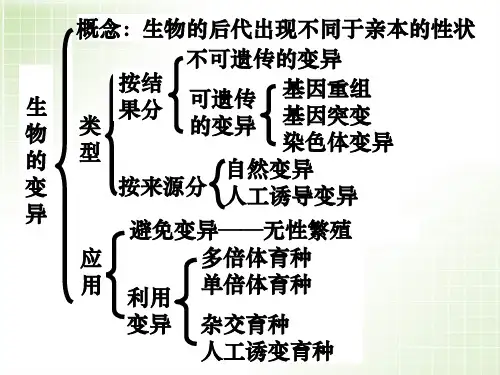 变异育种进化0